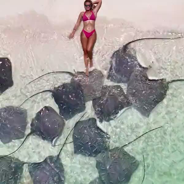Standing in ankle-deep water surrounded by a fan of stingrays