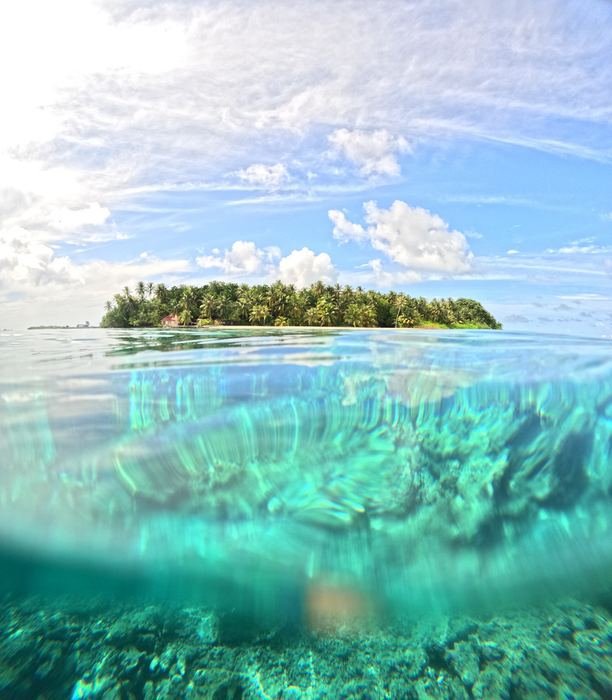 Half-underwater view of a reef beside a green island