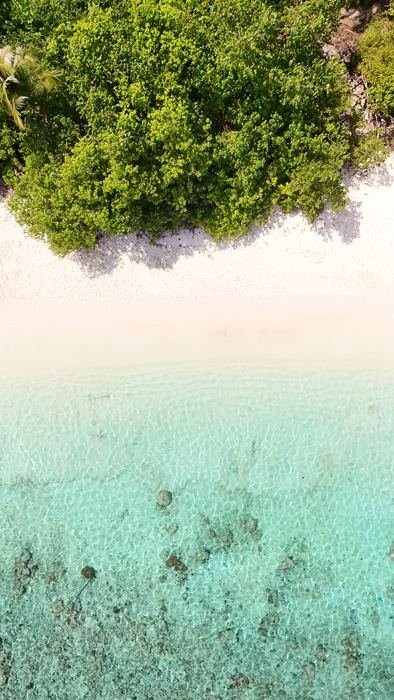 Aerial of a green island meeting a white sandbank